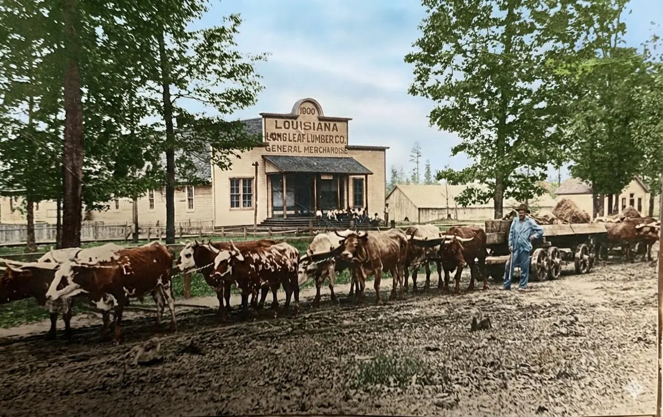 Photograph from the Facebook post “Fisher, La… railroad town in early 1900s.”
